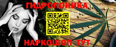 крисы Краснокаменск