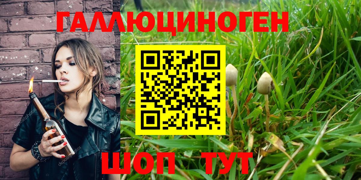 Северобайкальск  Псилоцибиновые грибы мицелий  Вход с VPN 